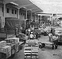 mercato ortofrutticolo - Facchini al lavoro - anni 60 (Roberto Rigon)